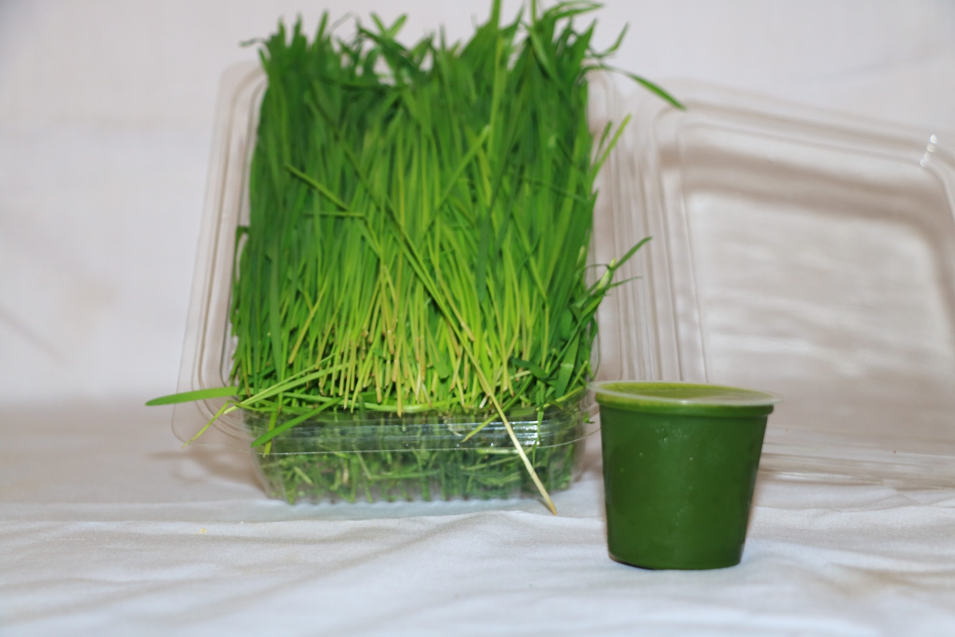 Springs Healthcare fresh packed wheatgrass 100gms 101