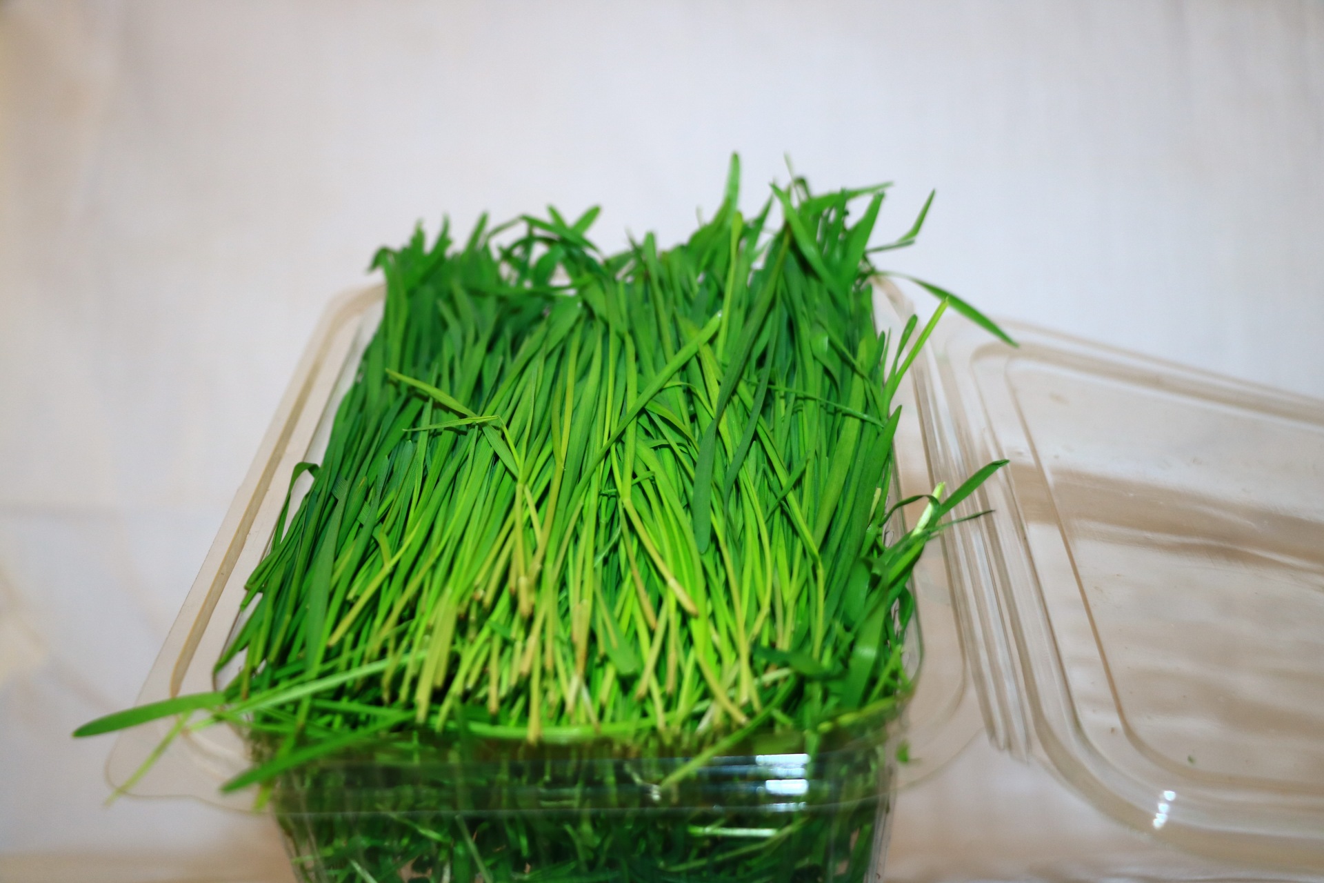 Springs Healthcare fresh packed wheatgrass 100gms 103