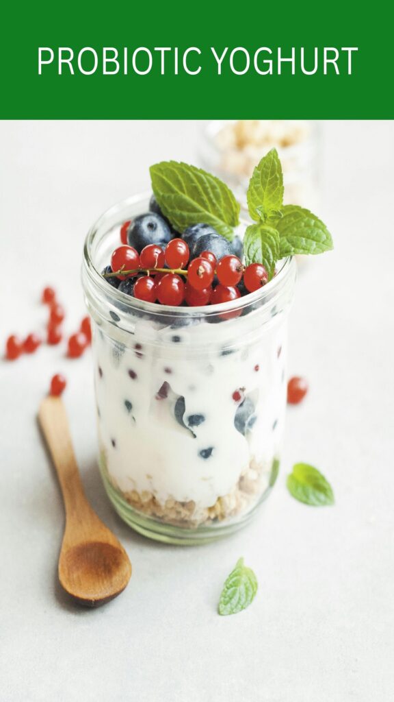 Probiotic Yoghurt - Kefir 1