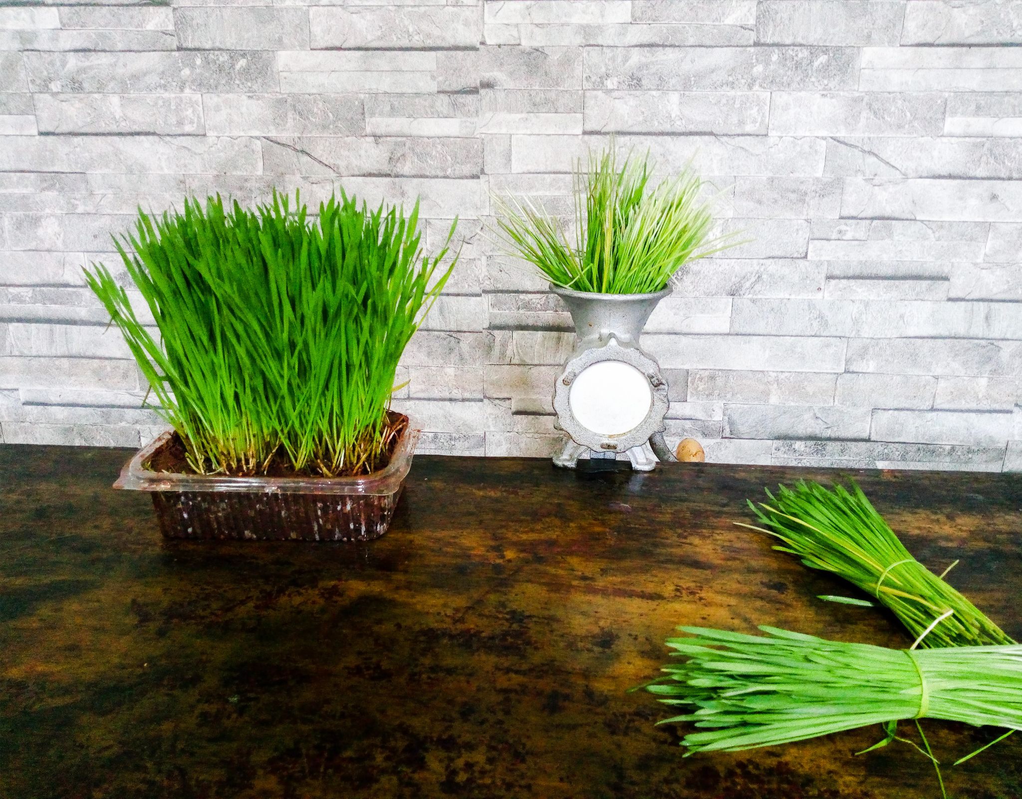 wheatgrass benefits