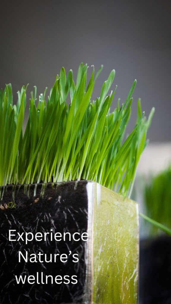 Springs Healthcare - Contact Us