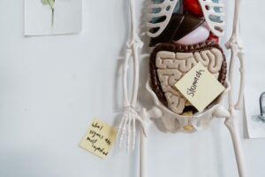 natural remedies for gut health